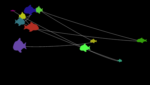 Screenshot: Eleven differently colored and differently sized fish connected by a white line. Black background.